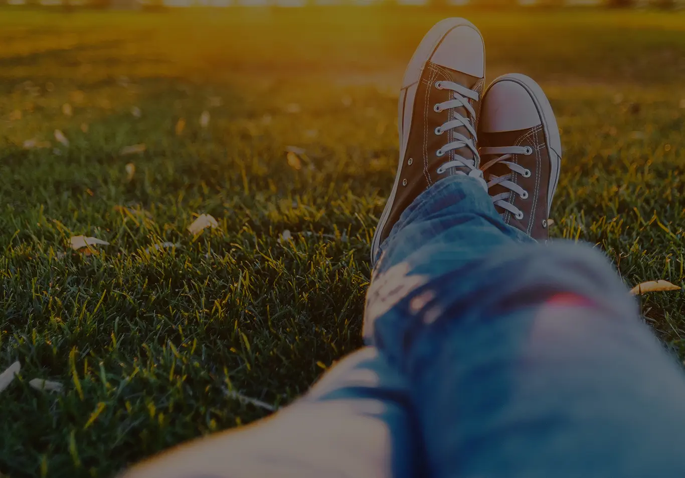 legs of someone lying on grass at sunset